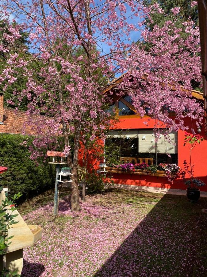 Aconchegante Casa Em Monte Verde Zewnętrze zdjęcie